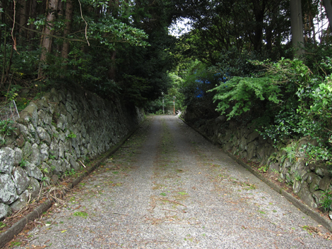 20191024hike (13)